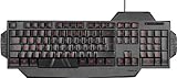 Speedlink Gamer Tastatur für PC / Computer - Rapax Gaming Keyboard USB (Kompakte Bauform - Gekennzeichnete Gamingtasten - Höhenverstellung für optimale Ergonomie) schwarz