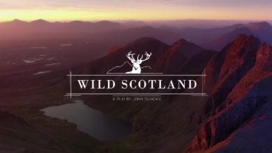 Wild Scotland