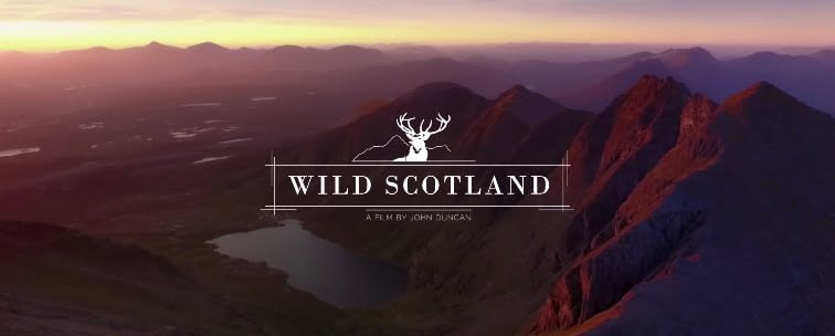 Wild Scotland