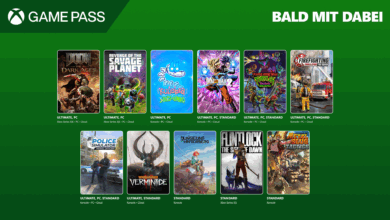 XBOX XGP 0605 16x9 Bald