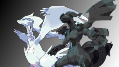 pokemon reshiram und zekrom 6352011