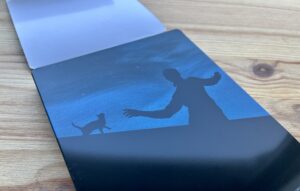 Über den Dächern von Nizza