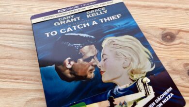 Über den Dächern von Nizza