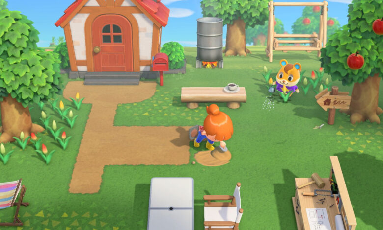 Animal Crossing: New Horizons