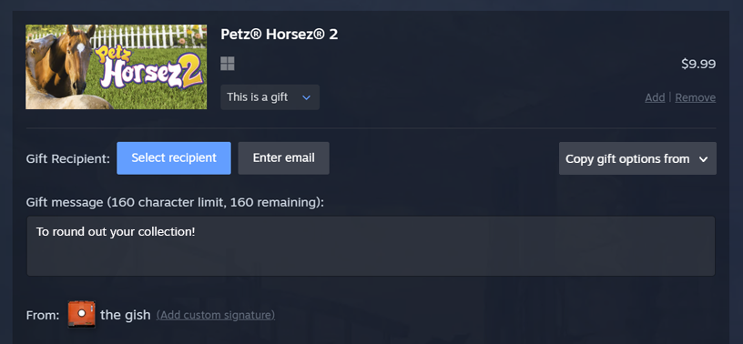 Ansichttseite des Checkouts eines Steam Gifts mit Versand per Mail