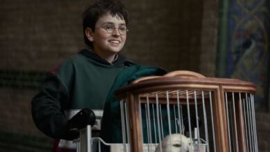 Harry Potter