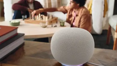 Google Home Speaker