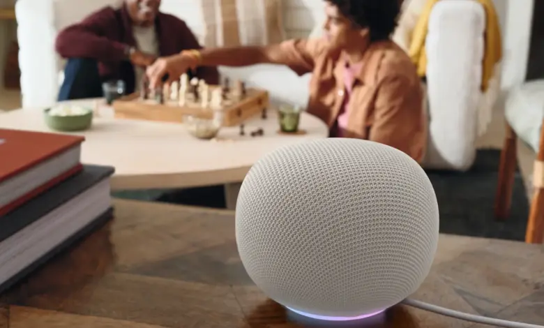 Google Home Speaker