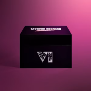 GTA 6 Collector’s Box