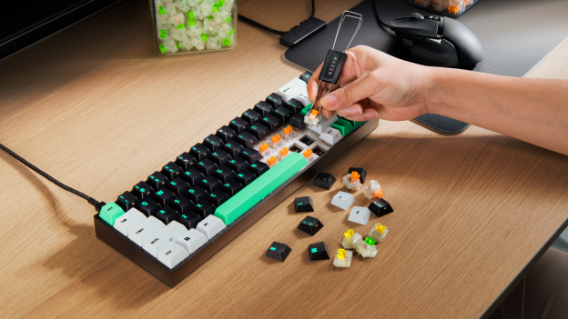 Razer Reclusa